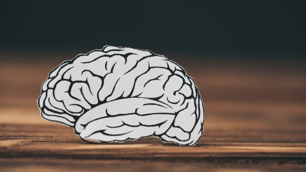 team building retreat brain cutout