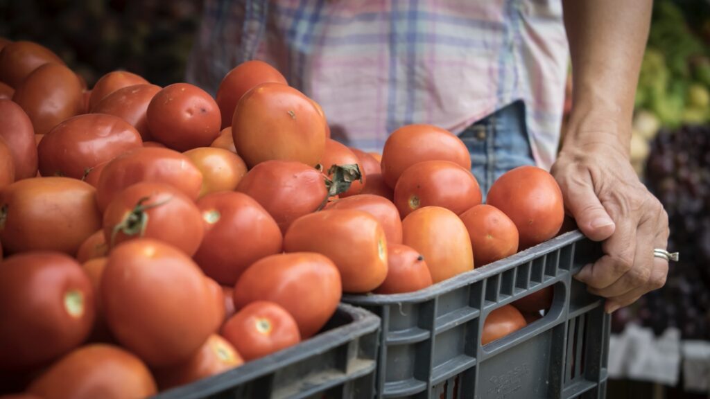 local produce