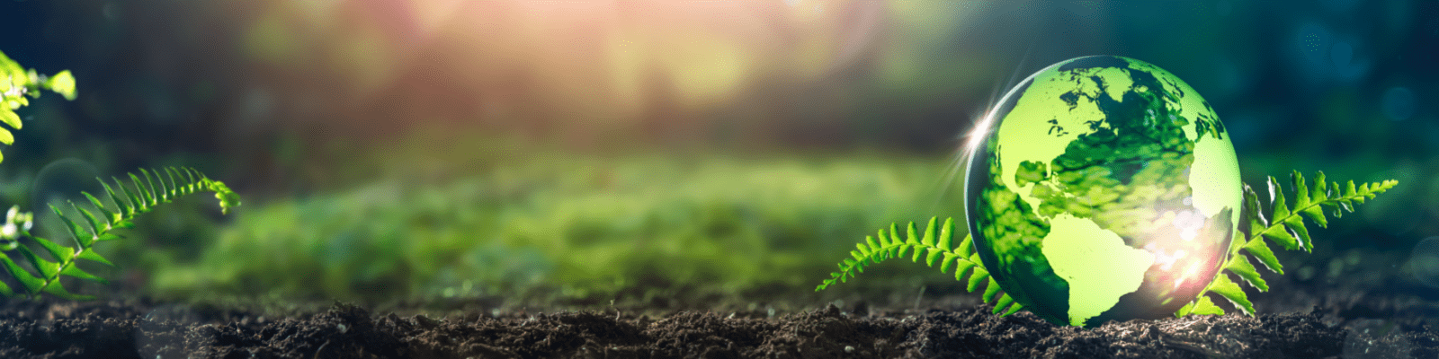 Celebrate Earth Day with Rockoly’s Sustainable Cooking Workshops