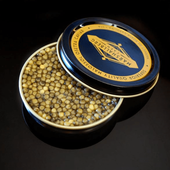 caviar tasting team building American sturgeon